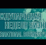 Стань онлайн-участником Международной недели бизнеса, которая пройдет с 8 по 11 декабря - Шаранский район