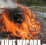 01 сообщает: За сжигание мусора – штраф! - Шаранский район