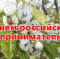 Глава администрации Шаранского района Фидан Ишемгулов поздравил предпринимателей с Днем российского предпринимательства - Шаранский район