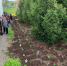 В Шаранском районе продолжаются субботники - Шаранский район