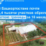 В Башкортостане почти 8,4 тысячи участков обрели четкие границы за 10 месяцев 2025 года - Шаранский район
